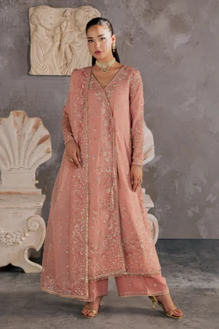 Luxury Pakistani Festive Collection