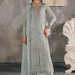 Luxury Pakistani Festive Collection