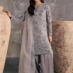 Luxury Pakistani Festive Collection