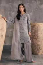 Luxury Pakistani Festive Collection