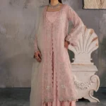 Luxury Pakistani Festive Collection