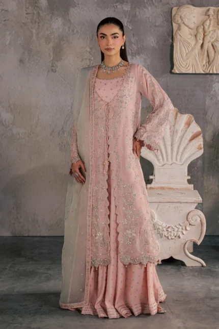 Luxury Pakistani Festive Collection