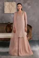 Luxury Pakistani Festive Collection