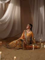 Ally's Official | 3 Piece Luxury Chiffon maxi Embroidered  | AR-156 CLEOPETRA | Ready To Wear - Image 4