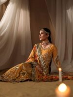 Ally's Official | 3 Piece Luxury Chiffon maxi Embroidered  | AR-156 CLEOPETRA | Ready To Wear - Image 5