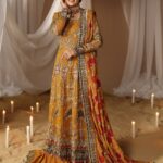 Pakistani Luxury dresses Festive collection in UK online