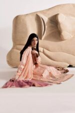 Vanya | 3 Piece peachy pink Embroidered Cotton/Chiffon  -CN-15  | Ready To Wear - Image 2
