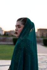 Vanya | 3 Piece  Embroidered Chiffon/Raw Silk - ED-013 | Ready To Wear - Image 2
