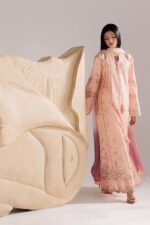 Vanya | 3 Piece peachy pink Embroidered Cotton/Chiffon  -CN-15  | Ready To Wear - Image 3
