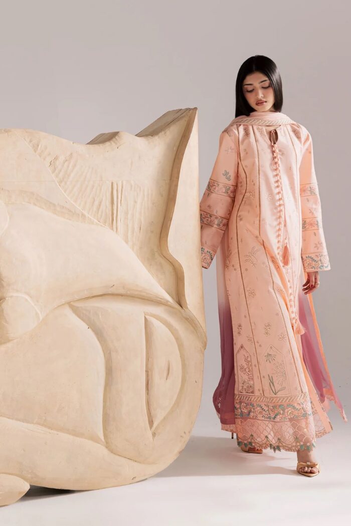 Vanya | 3 Piece peachy pink Embroidered Cotton/Chiffon  -CN-15  | Ready To Wear - Image 3