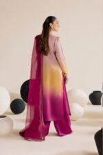 Vanya | 3 Piece ombre Embroidered Silk/Organza - FF-86 | Ready To Wear - Image 2