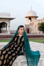 Vanya | 3 Piece  Embroidered Chiffon/Raw Silk - ED-013 | Ready To Wear - Image 3
