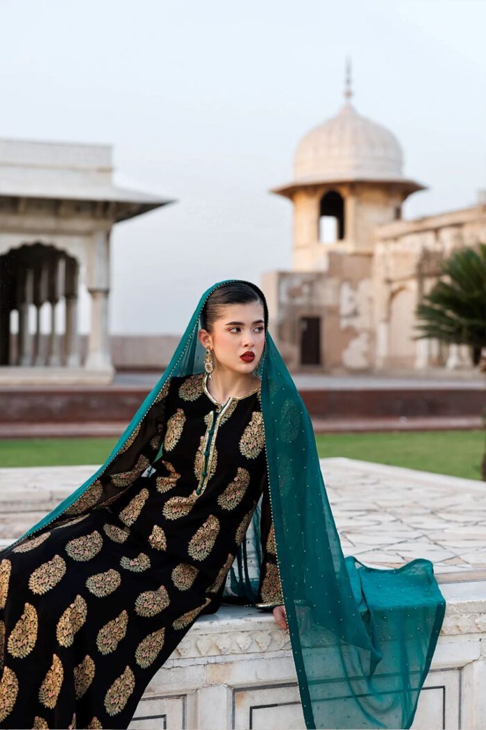 Vanya | 3 Piece  Embroidered Chiffon/Raw Silk - ED-013 | Ready To Wear - Image 3