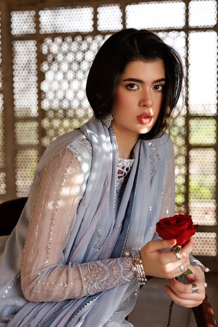 Vanya | 3 Piece  Embroidered Chiffon/Raw Silk - ED-016 | Ready To Wear - Image 4