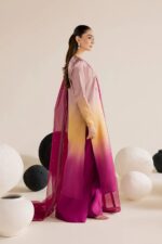 Vanya | 3 Piece ombre Embroidered Silk/Organza - FF-86 | Ready To Wear - Image 3