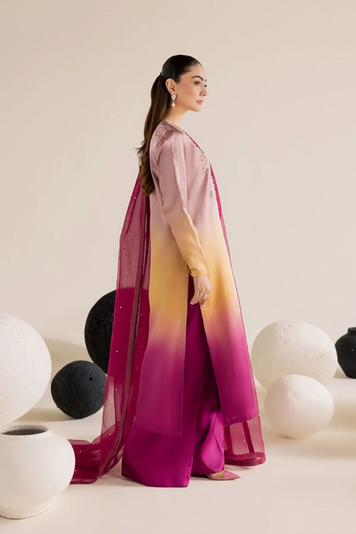 Vanya | 3 Piece ombre Embroidered Silk/Organza - FF-86 | Ready To Wear - Image 3