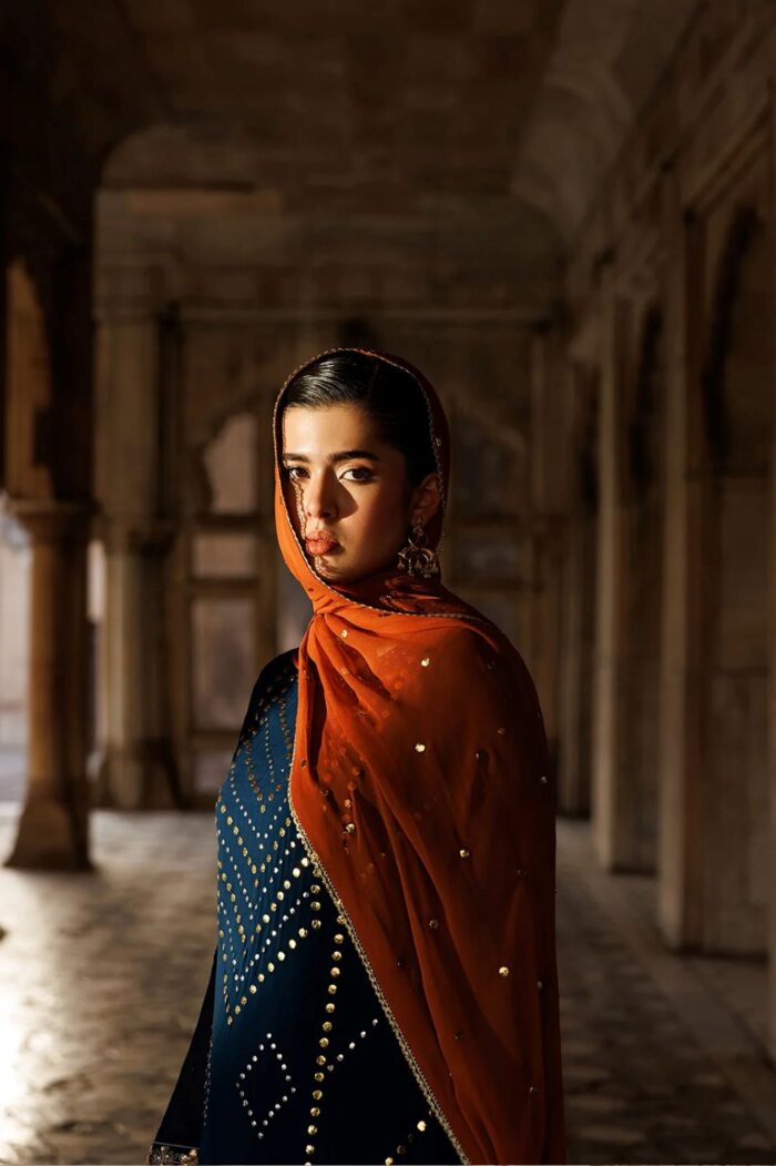 Vanya | 3 Piece  Embroidered Chiffon/Raw Silk - ED-011 | Ready To Wear - Image 5