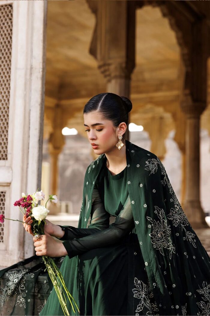Vanya | 2 Piece  Embroidered Chiffon - ED-017 | Ready To Wear - Image 3