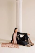 Vanya | 3 Piece black zari Embroidered Zari Silk/Chiffon  - FF-82  | Ready To Wear - Image 5