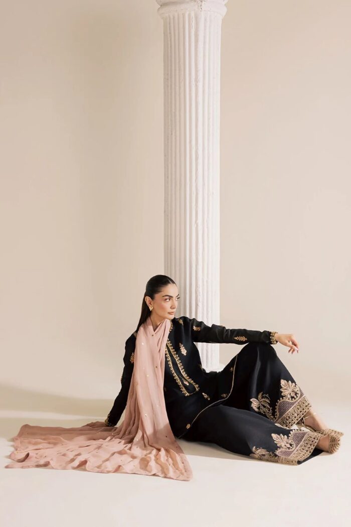 Vanya | 3 Piece black zari Embroidered Zari Silk/Chiffon  - FF-82  | Ready To Wear - Image 5