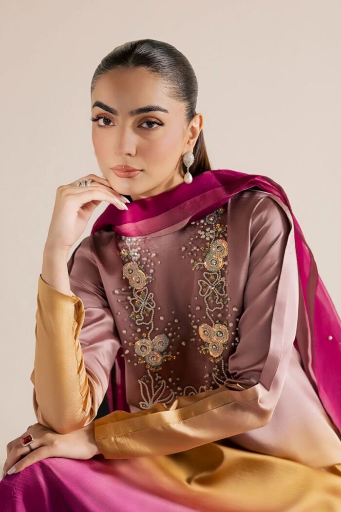 Vanya | 3 Piece ombre Embroidered Silk/Organza - FF-86 | Ready To Wear - Image 4