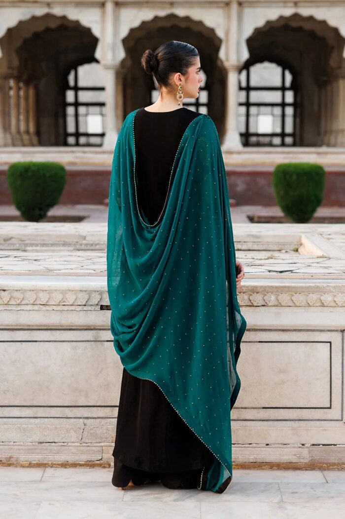 Vanya | 3 Piece  Embroidered Chiffon/Raw Silk - ED-013 | Ready To Wear - Image 4