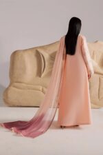 Vanya | 3 Piece peachy pink Embroidered Cotton/Chiffon  -CN-15  | Ready To Wear - Image 5