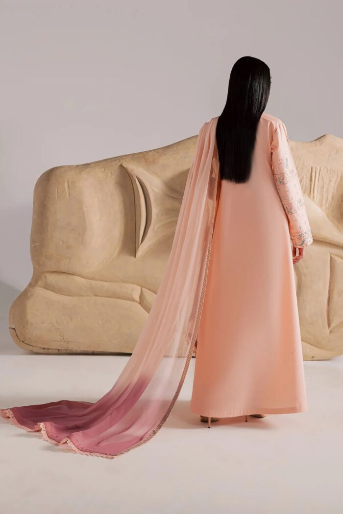 Vanya | 3 Piece peachy pink Embroidered Cotton/Chiffon  -CN-15  | Ready To Wear - Image 5