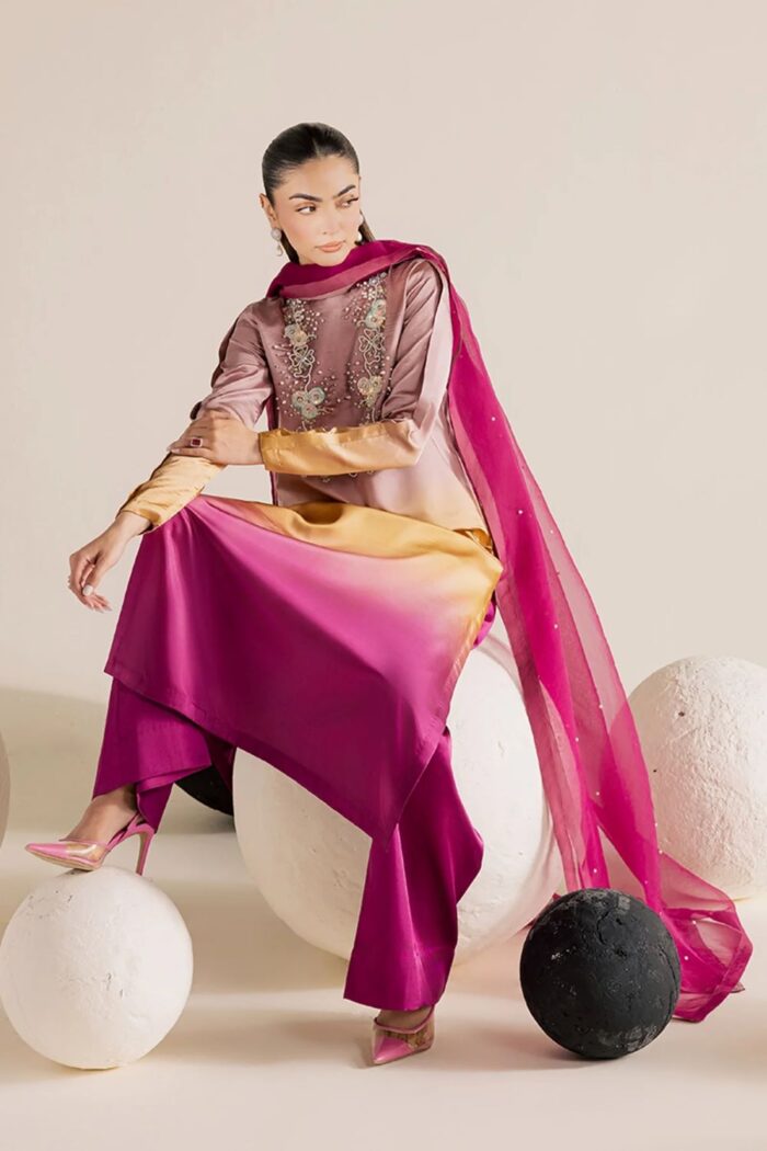 Vanya | 3 Piece ombre Embroidered Silk/Organza - FF-86 | Ready To Wear - Image 6