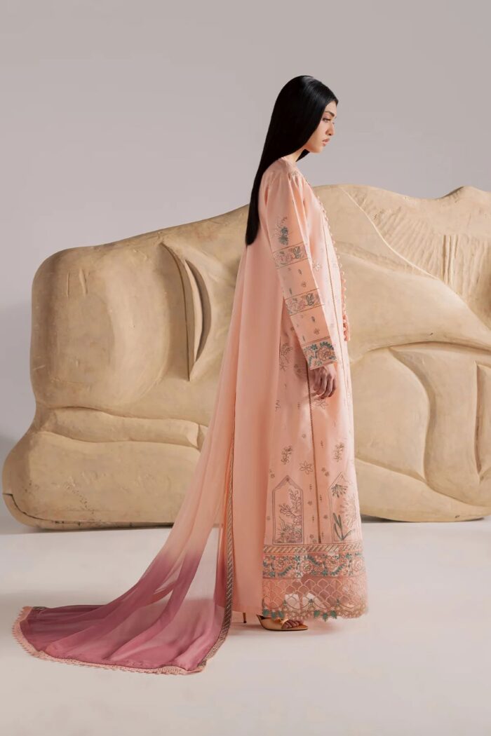 Vanya | 3 Piece peachy pink Embroidered Cotton/Chiffon  -CN-15  | Ready To Wear - Image 6