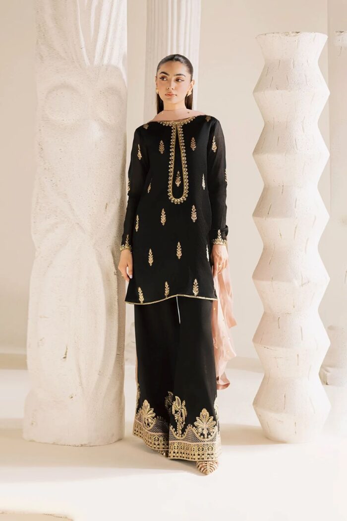Vanya | 3 Piece black zari Embroidered Zari Silk/Chiffon  - FF-82  | Ready To Wear - Image 6