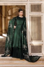 Vanya | 2 Piece Embroidered Chiffon - ED-017 | Ready To Wear - Image 5