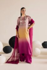 Vanya | 3 Piece ombre Embroidered Silk/Organza - FF-86 | Ready To Wear - Image 5