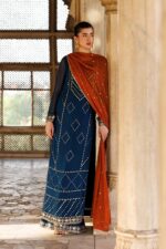 Vanya | 3 Piece  Embroidered Chiffon/Raw Silk - ED-011 | Ready To Wear - Image 3