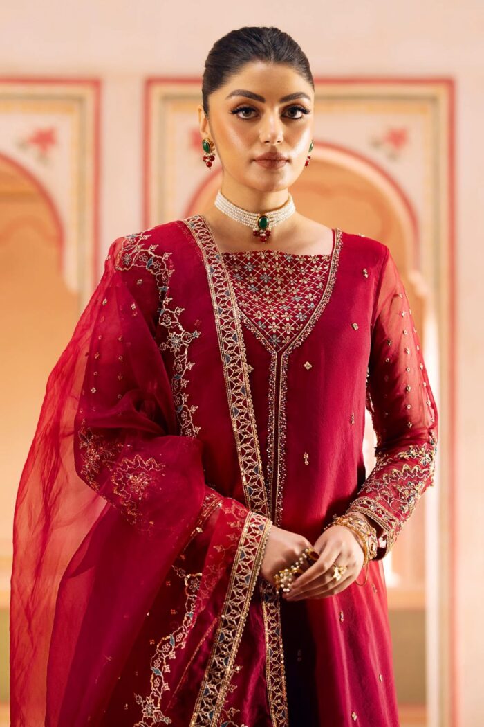 Naqshi | 3 Piece Organza A-line frock  – Ferisha | Ready To Wear - Image 3