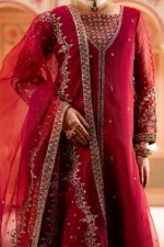 Naqshi | 3 Piece Organza A-line frock  – Ferisha | Ready To Wear - Image 2