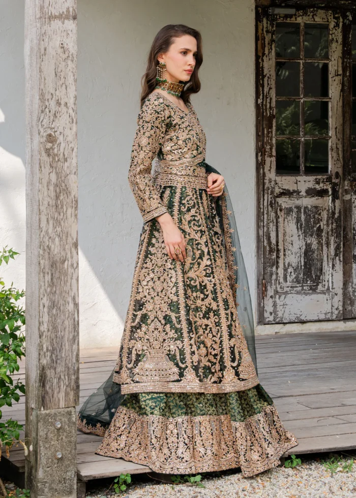 Haseens Official | 3 Piece Embroidered Straight cut maxi - Malaak | Ready To Wear - Image 2