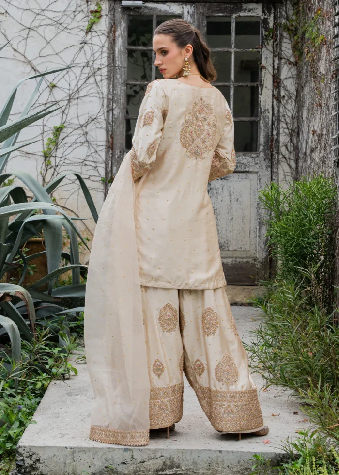 Haseens Official | 3 Piece Embroidered Straight cut kurta- Noorey | Ready To Wear - Image 6