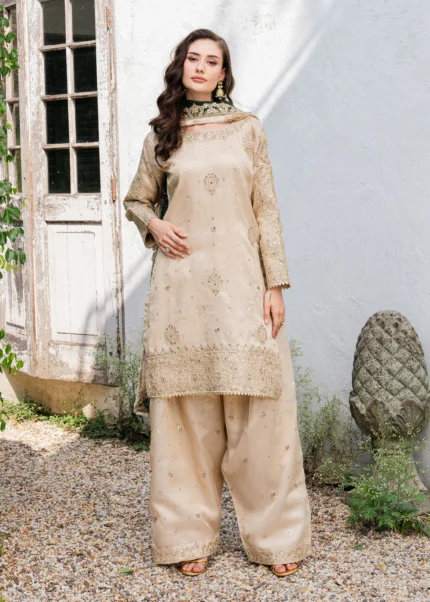Pakistani Luxury dresses Festive collection in UK online