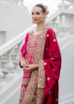 Haseens Official | 3 Piece Embroidered Straight cut kurta- Dilafroz | Ready To Wear - Image 2