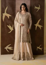 Pakistani Luxury dresses Festive collection in UK online