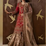 Pakistani Luxury dresses Festive collection in UK online