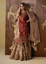 Haseens Official | 3 Piece Embroidered Flared gharara - Rameen | Ready To Wear - Image 6