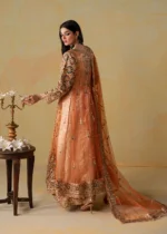 Haseens Official | 3 Piece Embroidered Flared maxi- Ehmer  | Ready To Wear - Image 2