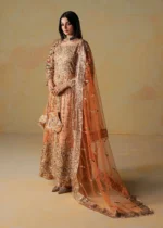 Haseens Official | 3 Piece Embroidered Flared maxi- Ehmer  | Ready To Wear - Image 3