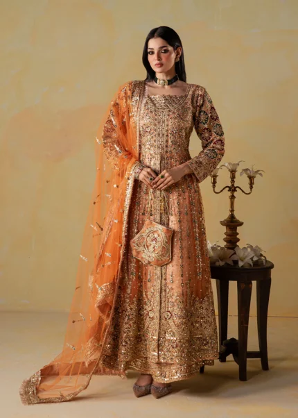 Pakistani Luxury dresses Festive collection in UK online