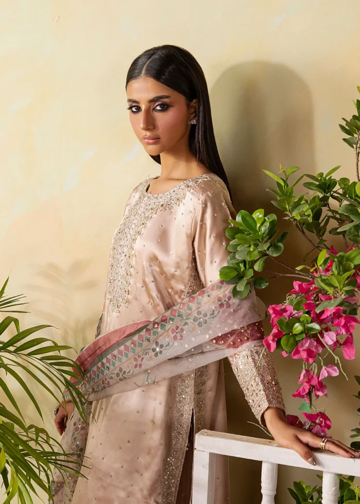 Haseens Official | 3 Piece Embroidered Straight kurta - Unaisa | Ready To Wear - Image 5