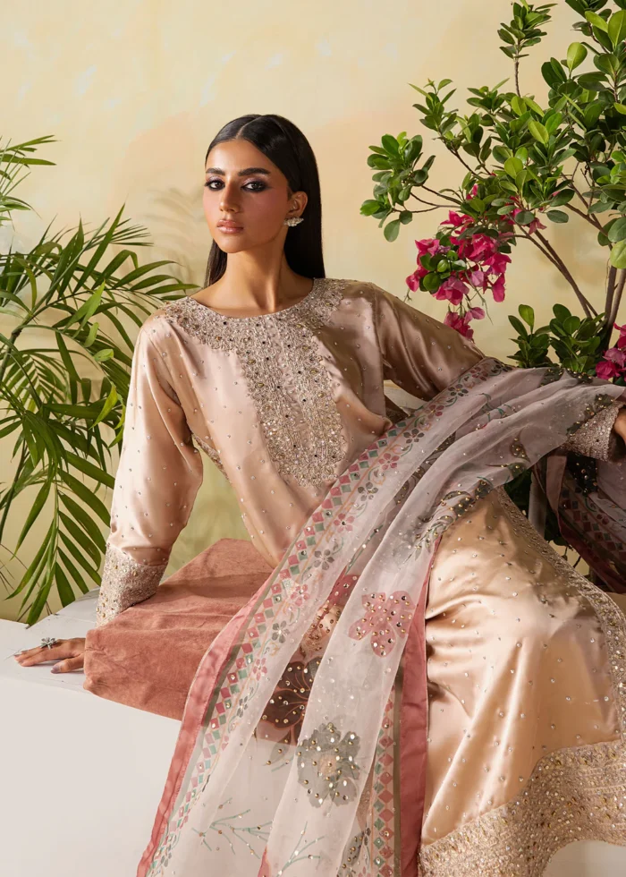Haseens Official | 3 Piece Embroidered Straight kurta - Unaisa | Ready To Wear - Image 6