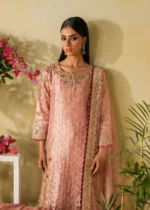 Haseens Official | 3 Piece Embroidered Straight kurta - Isra | Ready To Wear - Image 6