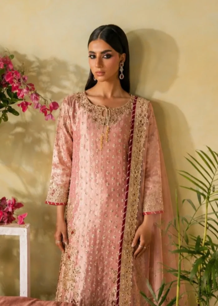 Haseens Official | 3 Piece Embroidered Straight kurta - Isra | Ready To Wear - Image 6